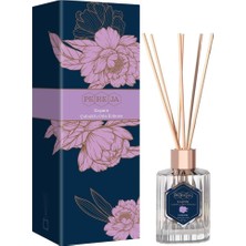Özkaya Store Kaşmir Oda Kokusu 100 ml