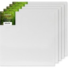 30X30 Cm, Tuval, 5 Li, Resim Tuvali, Ahşap Çerçeve, Tual, Akrilik Boya, Yağlı Boya