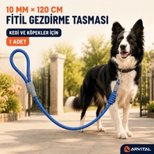 Arvital Evcil Hayvan Fitil Gezdirme Tasması 10 mm x 120 cm Kedi Köpek Gezdirme Ipi