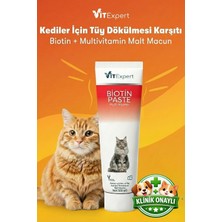 Kediler Için Biotin Paste Tüy Dökülme Döküm Tüy Sağlığı Malt Macunu 100 gr