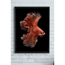 Sanatsal Balık Hayvan Çerçeveli Tablo 50X70CM