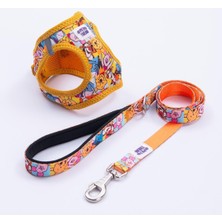 AyrStore Winnie Team Göğüs Tasması ve Sevk Kayışı Tasma Seti Winnie The Pooh ve Arkadaşları Kedi Kö