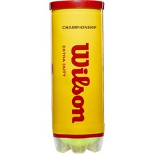 AyrStore Wilson Champ Extra Duty Tennis Balls