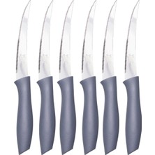 AyrStore Sebze ve Meyve Bıçağı, Çelik, Gri, Lazer Kesim Tırtıklı Uç, 22 Cm, 6 Adet