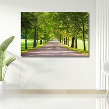 Tekli Yatay Kanvas Duvar Tablosu Yeşil Çimenler ve Yol, 70 x 50