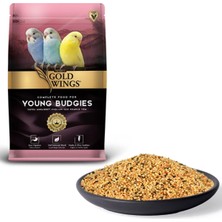 Gold Wings Premium Yavru Muhabbet Kuşu Yemi 1 kg