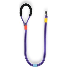 AyrStore Bunıco For Colorful Wonders Bonbon Çok Amaçlı Gezdirme Tasması - Mor