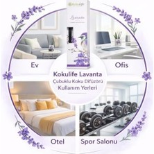 TeknoKapsül Lavanta Kokulu Reed Diffuser Oda Kokusu 50 Ml, Uzun Süre Kalıcı Ortam Kokulandırıcı, Çubuklu Oda Parfümü, Ev Ofis Banyo Dekoratif Koku Çözümü