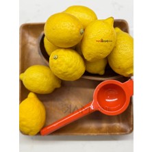 Renkli Döküm Limon Sıkacağı Limon Presi Büyük Boy, Rennkli Metal Limon Sıkacağı, Döküm N