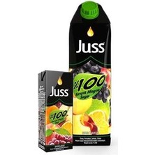 Ayrex Juss Slim 200 ML%100 Karışık Meyve Suyu