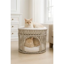 Ayrex Tasaryum Iki Katlı Kedi Yatağı – Konforlu, Modern ve Şık Tasarım (Gri)