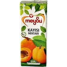 Ayrex Meysu 200 Mililitre Kayısı Nektarı
