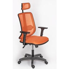 Alphina Selecta Güçlendirilmiş Polimer Ayaklı Büro ve Yönetici Koltuğu