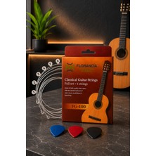 Florancia FG-100 Klasik Gitar Tel Seti