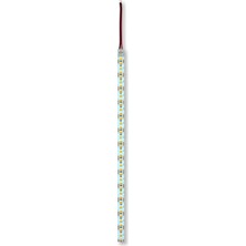 Marsilyan™- 1 Adet 5 Metre Edson Ed 2039 Iç Mekan 240 Ledli Şerit LED 12V Amber Işık