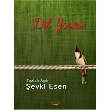 Ayata Kitap Dil Yaresi