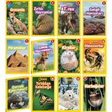 Beta Kids National Geographic Kids Seviye 1 Seti 12 Kitap - Ormanda - Dinozorlar - Kirpiler - Piramitler - Kutup Ayıları