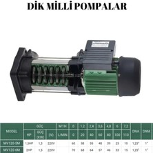 Kentaş 1.5 Kw-2 Hp 220 Volt Paslanmaz Çelik Fanlı Dikey Çok Kademeli (6 Kademeli) Bakır Sargılı Su Pompası