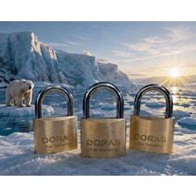 Doras Kilit Ersa Doras 50 Mm 3 lü Sarı Pas Sistem Asma Kilit