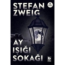 Bilgi Yayınevi Ay Işığı Sokağı