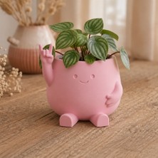 Brf Store Oreviosell Smiley Face Planter – 3D Baskı Gülümseyen Karakterli Saksı-Pembe