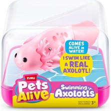 Brf Store Elivorasell Zuru Pets Alive Yüzme Axolotl Serisi -1 Rastgele Renk