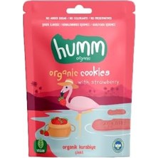 Brf Store Elivorasell Humm Organic Organik Vegan Çilekli Kurabiye - 55G