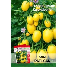Patika Botanik 20 Adet Sarı Patlıcan Tohumu