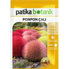 Patika Botanik 50 Adet Ponpon Çalı Çiçek Tohumu (Kochia Scoparia Red Globe)