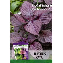 Patika Botanik 100 Adet Biftek Otu Tohumu (Perilla Frutescens)