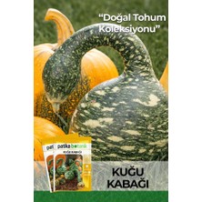Patika Botanik 5 Adet Kuğu Kabağı Çiçek Tohumu (Lagenaria Siceraria)