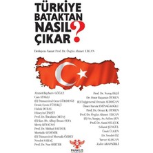 Pankuş Yayınları Türkiye Bataktan Nasıl Çıkar?