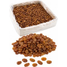 Hazar Gıda Doğal ve Kaliteli 10 kg Çekirdeksiz Siyah Kuru Üzüm