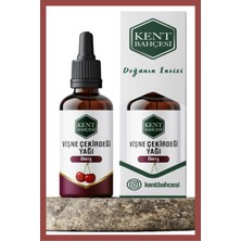 Kent Bahçesi Vişne Çekirdeği Yağı 30 ml Soğuk Sıkım %100 Saf Doğal ve Katkısız Cherry Carrier Oil