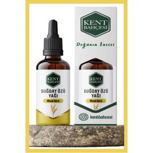 Kent Bahçesi Buğday Özü Yağı Ruşeym 30 ml - Soğuk Sıkım Damlalıklı