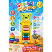 TAN EXPRESS Ksilofon Sevimli Ayı Figürlü 6 Nota 6ton 6 Tuşlu 27 Cm. 1 Adet