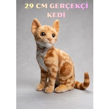 Boratila Toys 29 cm Gerçekçi Peluş Oyuncak Kedi (Turuncu)