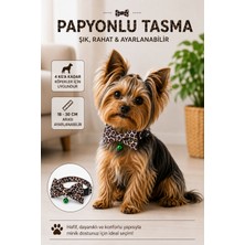 Coco Pet Papyonlu Köpek Boyun Tasması Leopar Desenli 4 kg A Kadar Küçük Irklar Için 17-30 cm