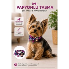 Coco Pet Papyonlu Köpek Boyun Tasması Makaron Desenli 4 kg A Kadar Küçük Irklar Için 17-30 cm