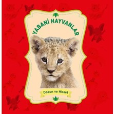Prestij Yabani Hayvanlar - Dokun ve Hisset