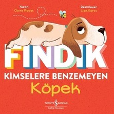 İş Bankası Kültür Yayınları Fındık Kimselere Benzemeyen Köpek