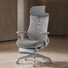 Ergomekan X150 Flexback Ofis ve Çalışma Sandalyesi Ayak Uzatmalı (TERLETMEZ)