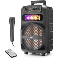 Skygo Karaoke Mikrofonlu Bluetooth Hoparlör Fm Radyo 10W 8 İnç Rgb Kumandalı Siyah JBR007