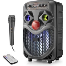 Skygo Karaoke Mikrofonlu Bluetooth Hoparlör Fm Radyo 10W 8 İnç Rgb Siyah NDRP66