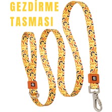 REVYNEE Premium Köpek Gezdirme Tasması Dayanıklı Konforlu Köpek Kayışı 360° Döner Karabina