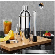 Astera Çelik Kokteyl Shaker Seti 500 ml
