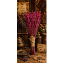 Tan Organik -Lavanta Demet Kuru Şoklanmış Pembe 1AD (Lavanta Kokulu) Hediyelik