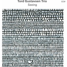 ECM TORD GUSTAVSEN TRIO - SEEING - 1 LP