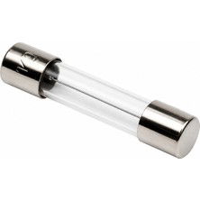 Tech 5X20MM Cam Sigorta 2A (10 Adet)