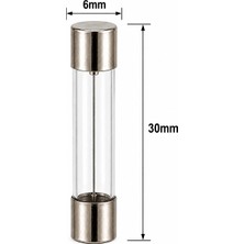 Tech 6X30MM Cam Sigorta 3A (10 Adet)